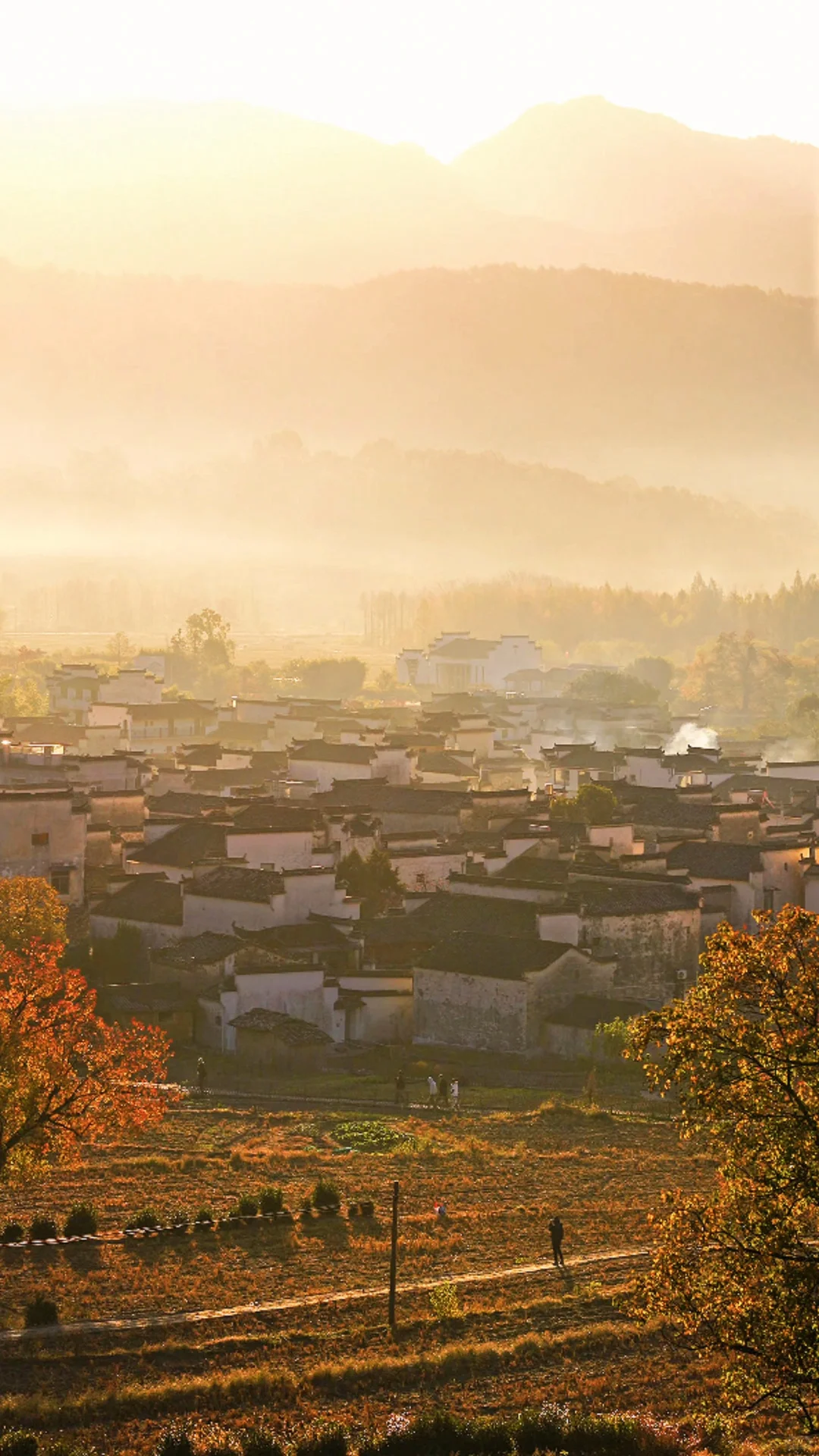 黄山之行｜感觉自己是天生的旅游圣体✨