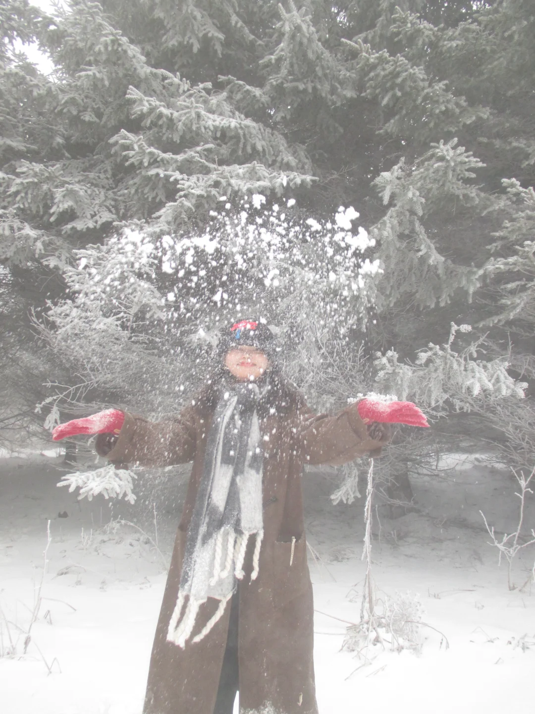 玩到舍不得离开的长白山之旅