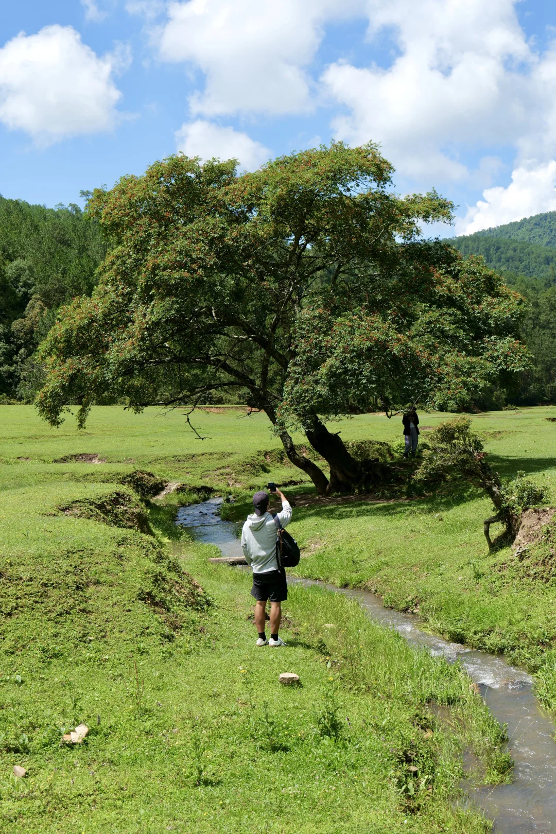 旅居大理一年,汇总出的一些好看的拍照地