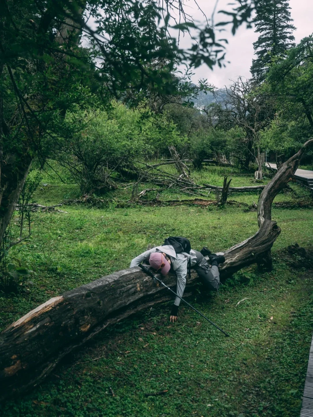 别抢氧气瓶！8月四姑娘山保命攻略”