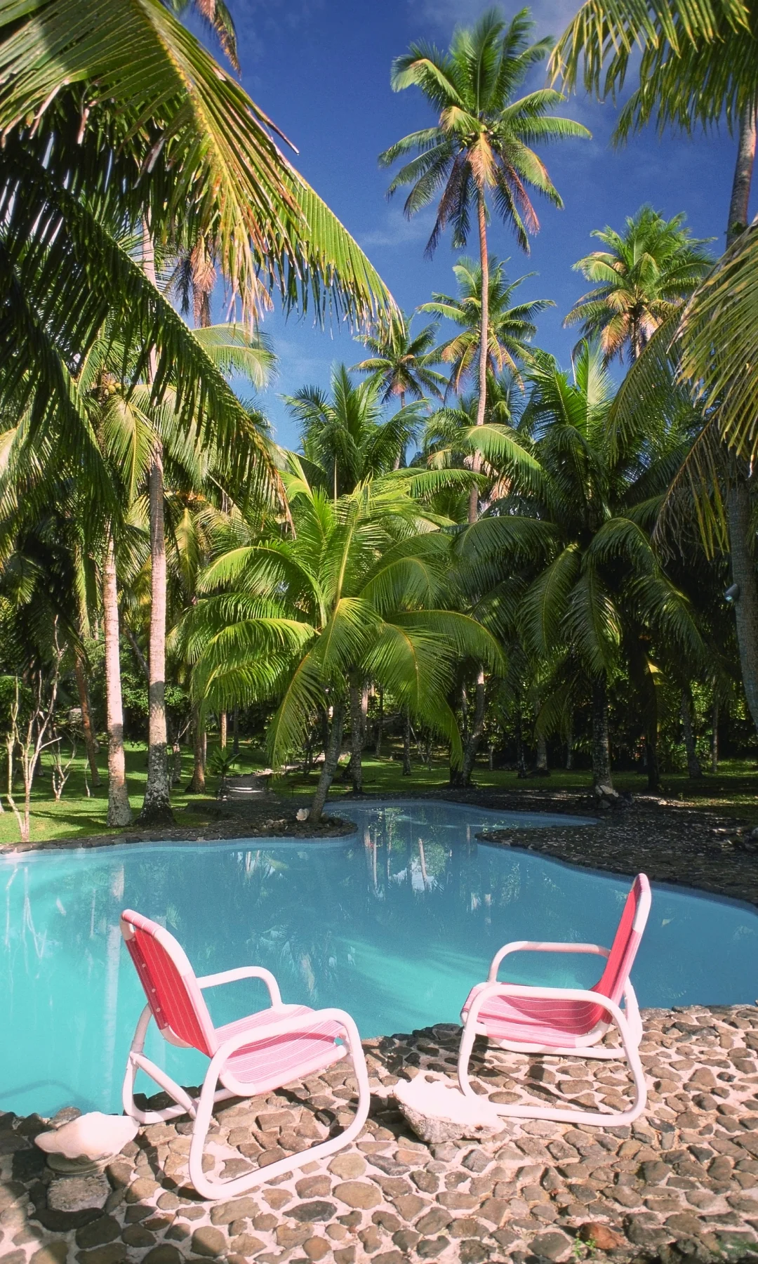 《国家地理》严选！🌍2026全球最值得去的地方