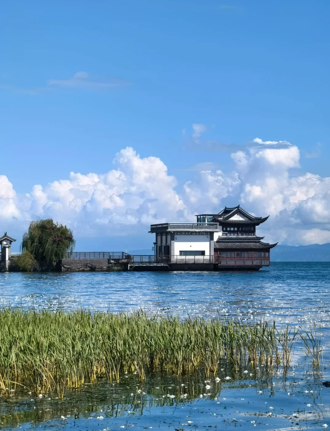 国庆大理一日游攻略 不超1百玩一天‼️