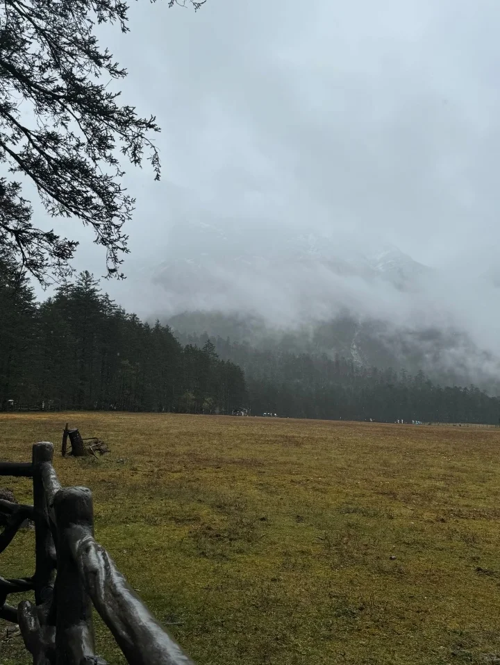 11.22📍玉龙雪山实况 真心建议还未出行的