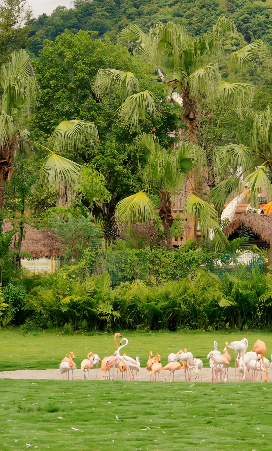 12月很适合去的旅行目的地推荐🌲