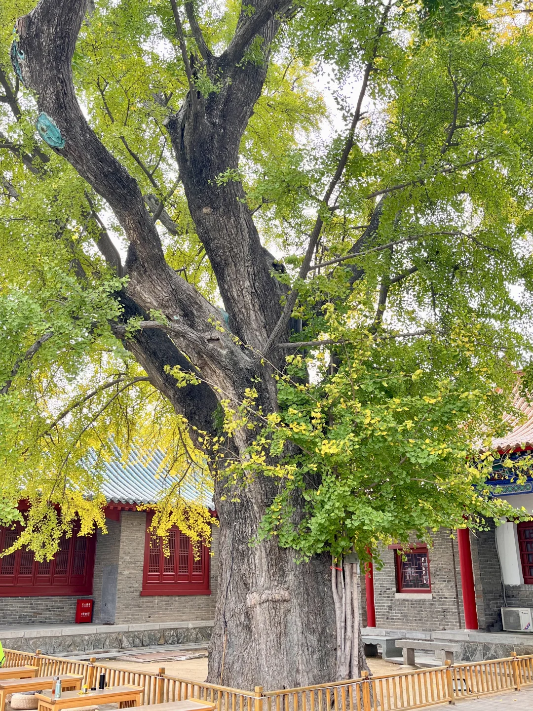 游临沂，观书圣故里，感琅琊古韵… …