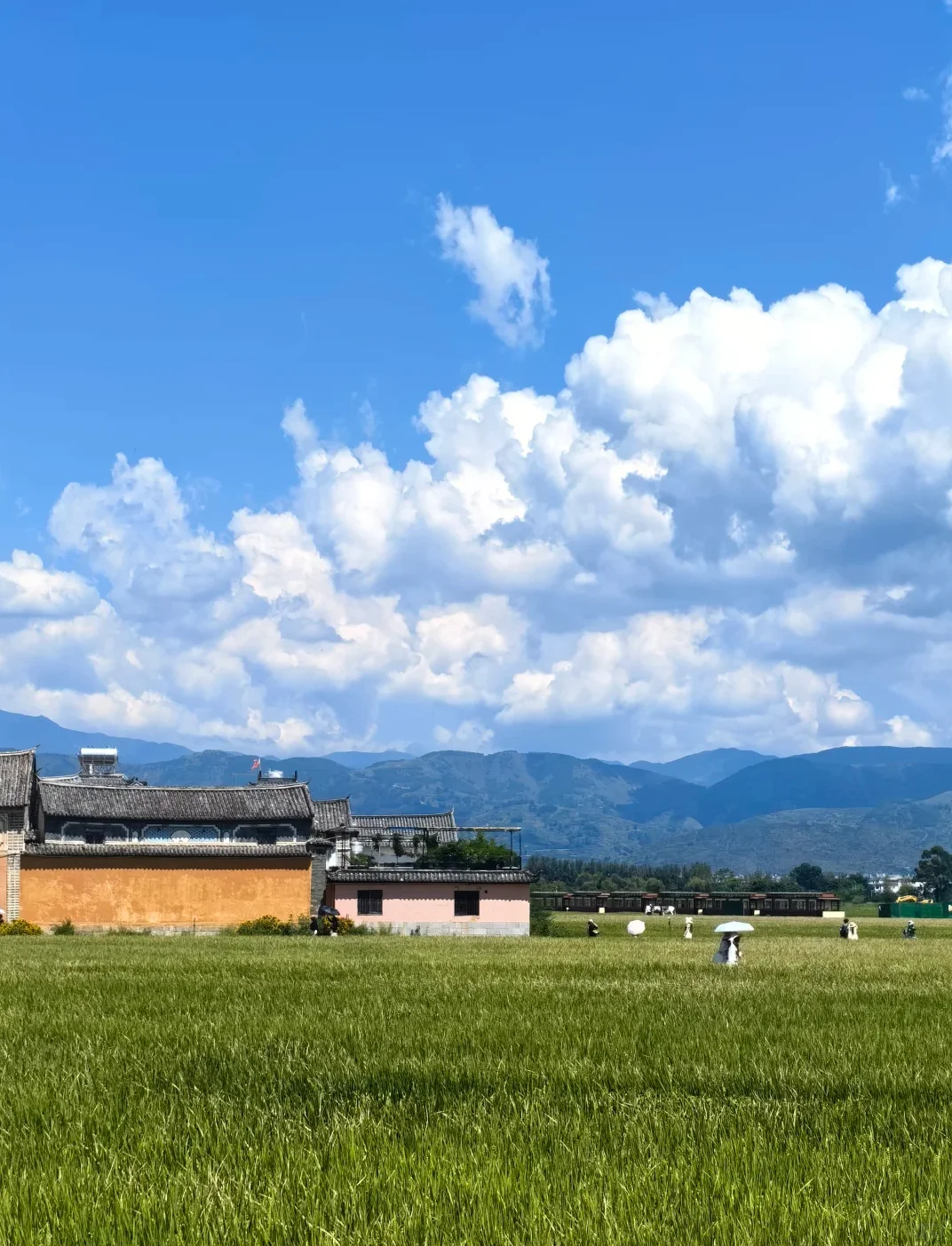 谁懂啊‼️大理环洱海一日游58/人🔥