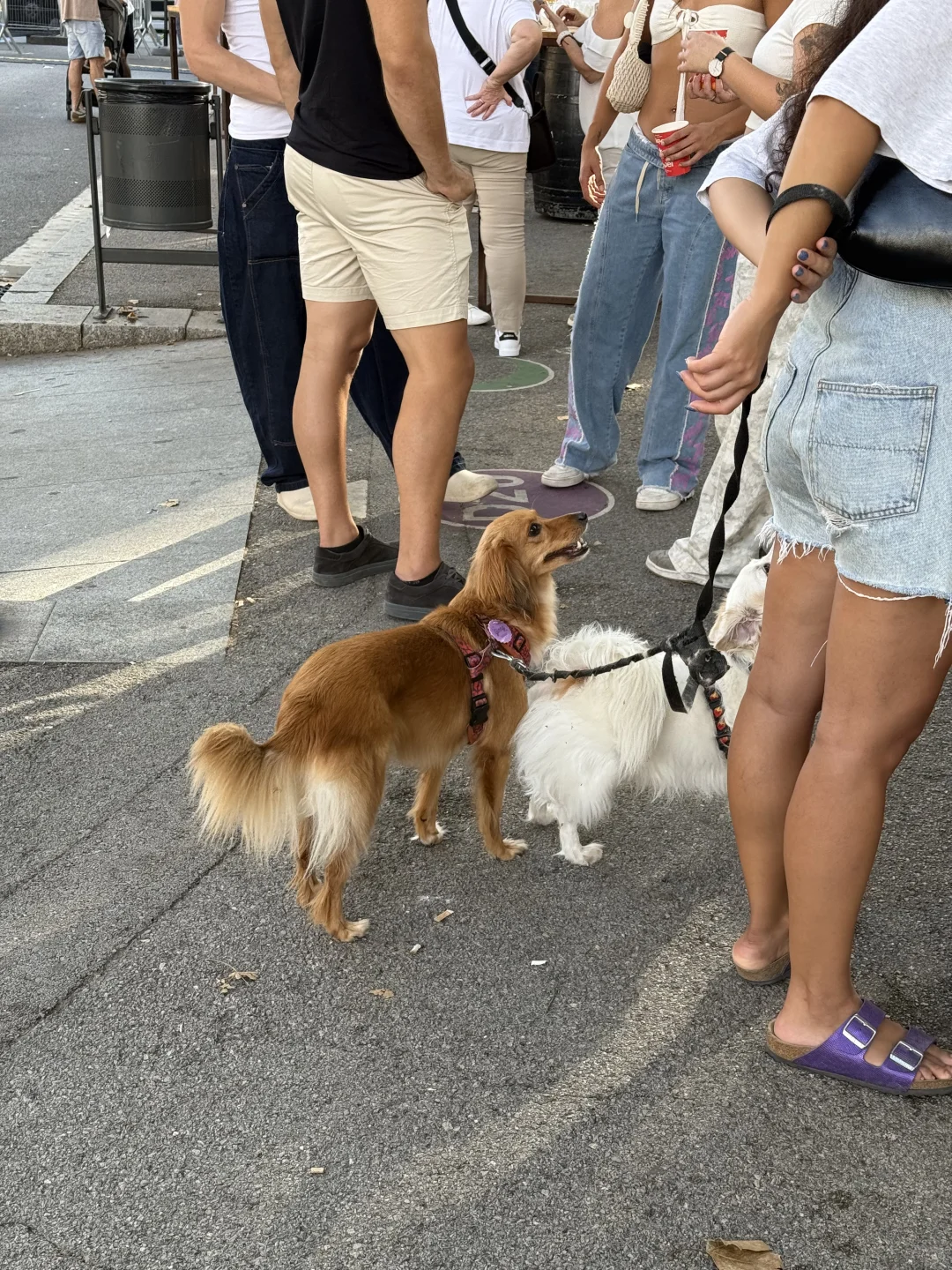 In Spain🇪🇸国庆第一批游客已抵达西班牙