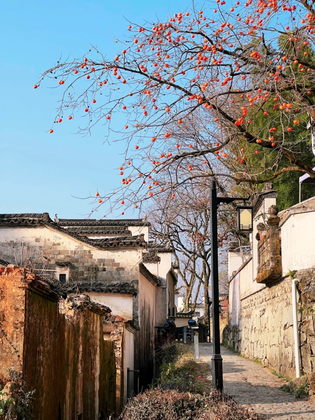 今年寒假,我只带娃去一个地方:徽州!🤩