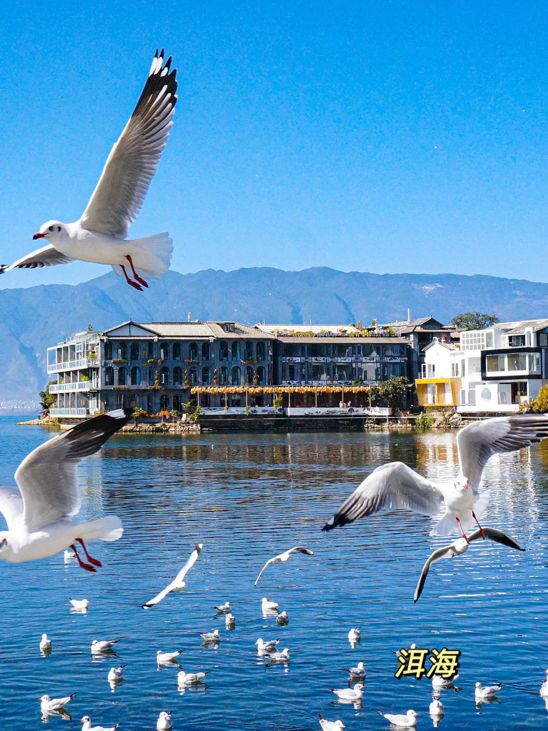 退休旅行🙌《国家地理》推荐国内必游景点