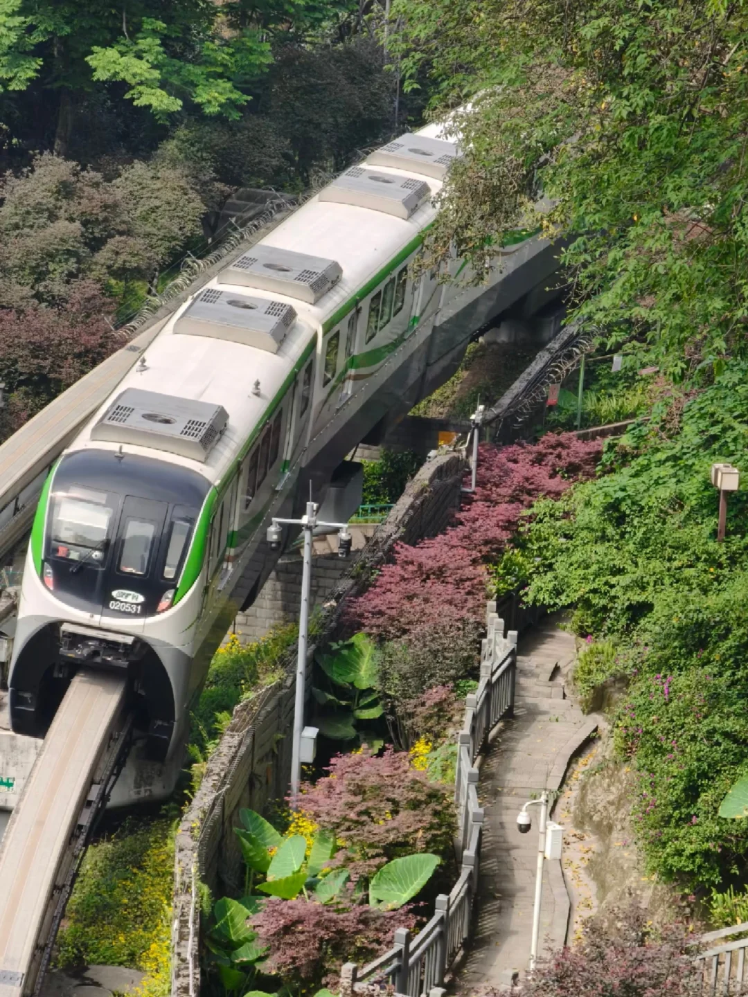 国庆假期旅游选重庆📍4天3晚行程分享