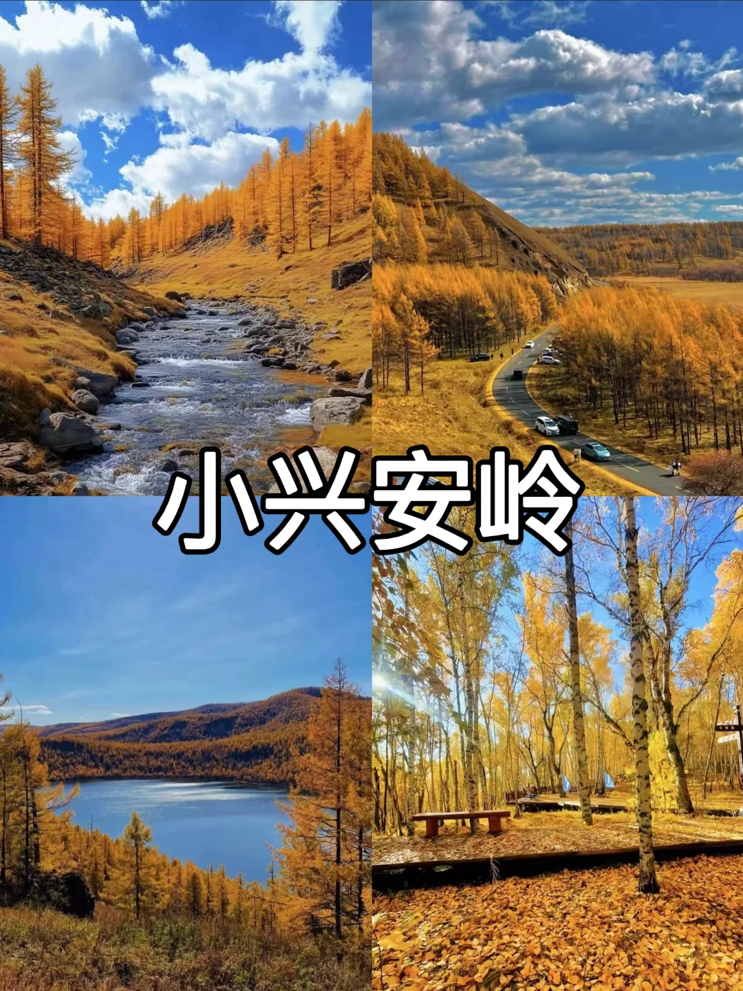 小学语文课本里的名胜古迹,还记得多少2️⃣