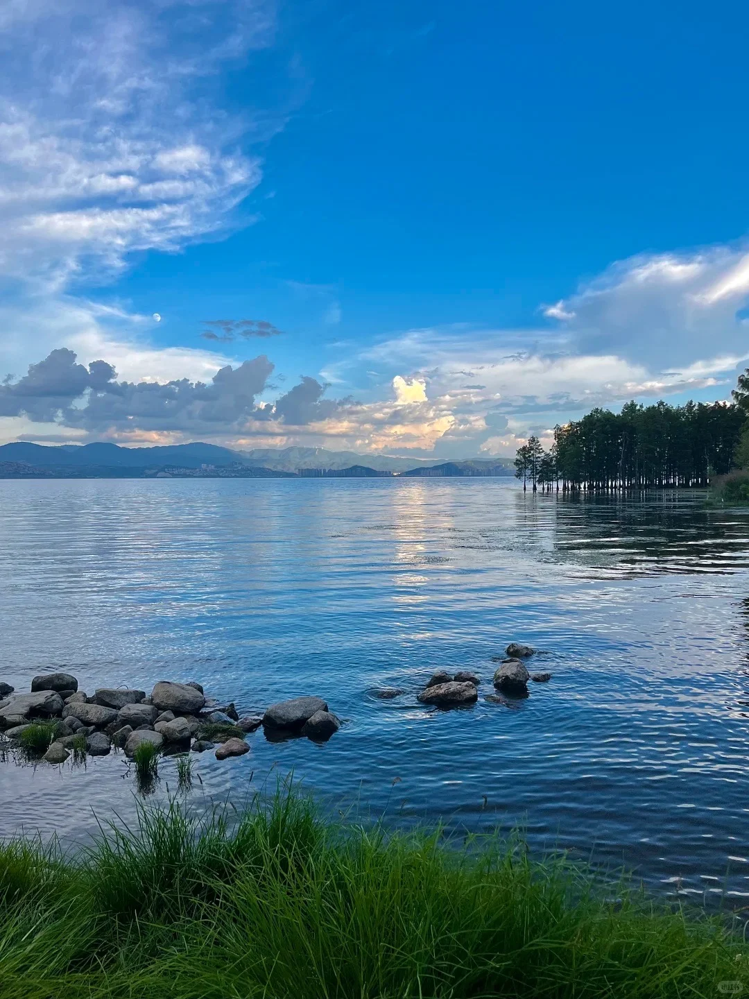 谁懂啊‼️大理环洱海一日游58/人🔥