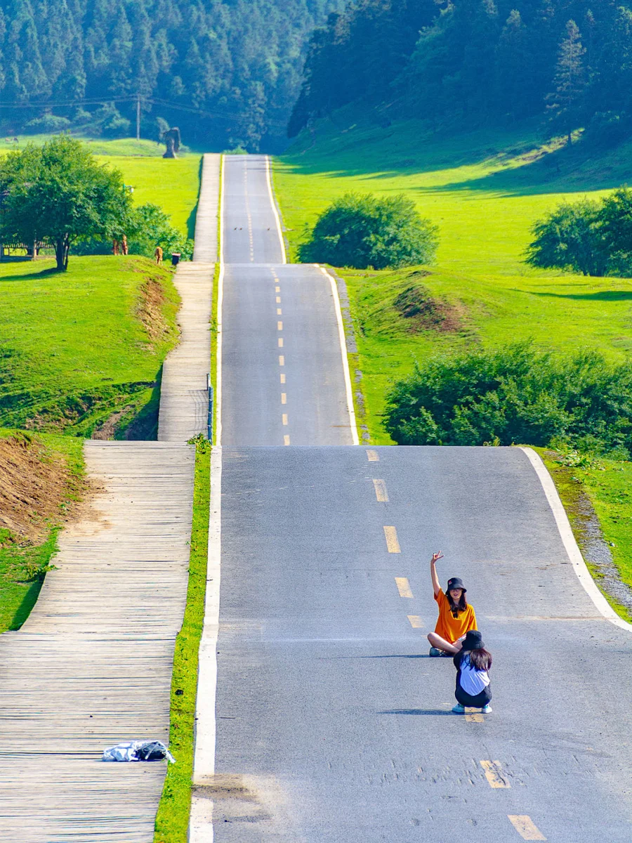 重庆！每月最佳景点，小众+经典全涵盖✨