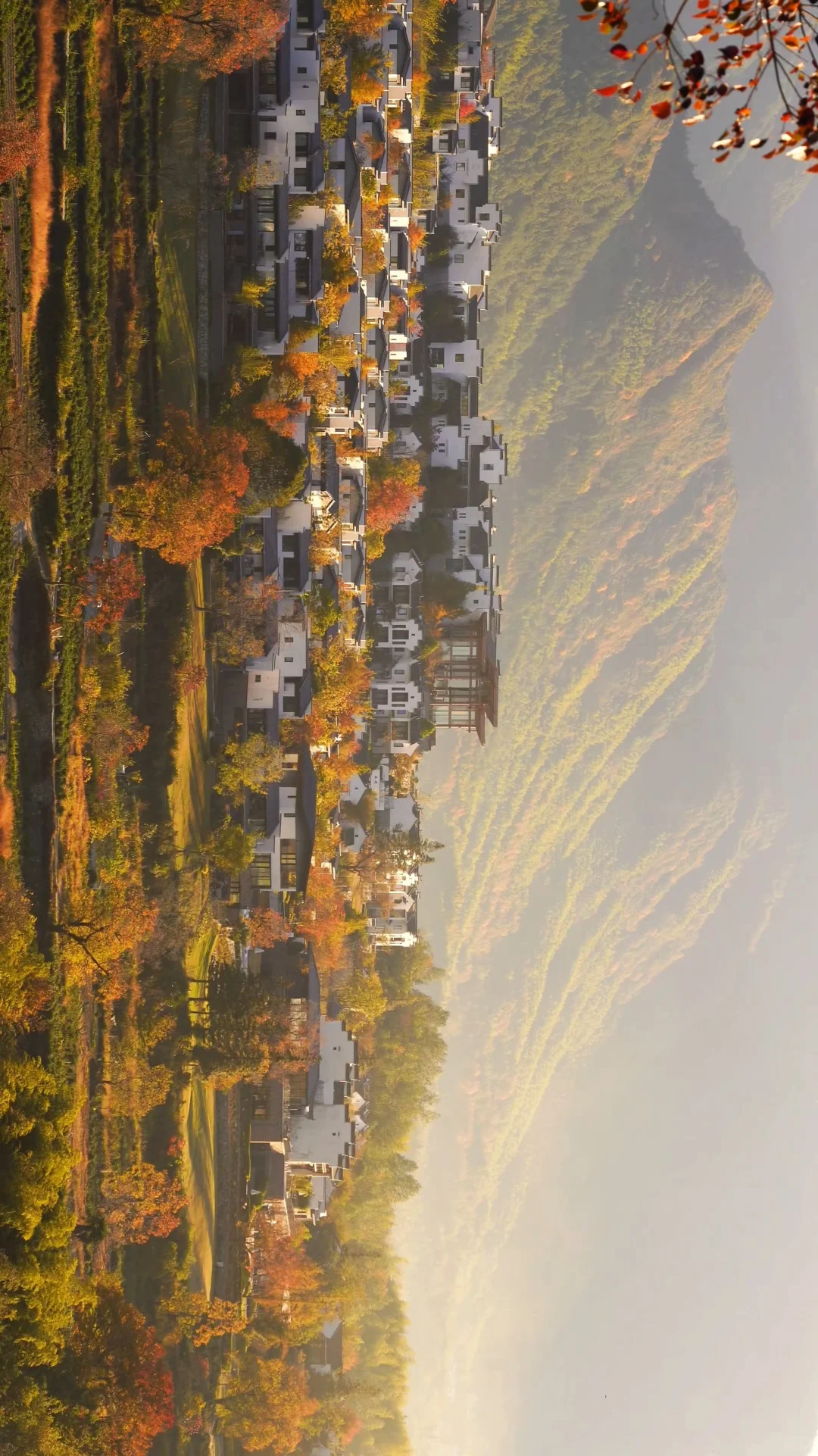 黄山之行｜感觉自己是天生的旅游圣体✨