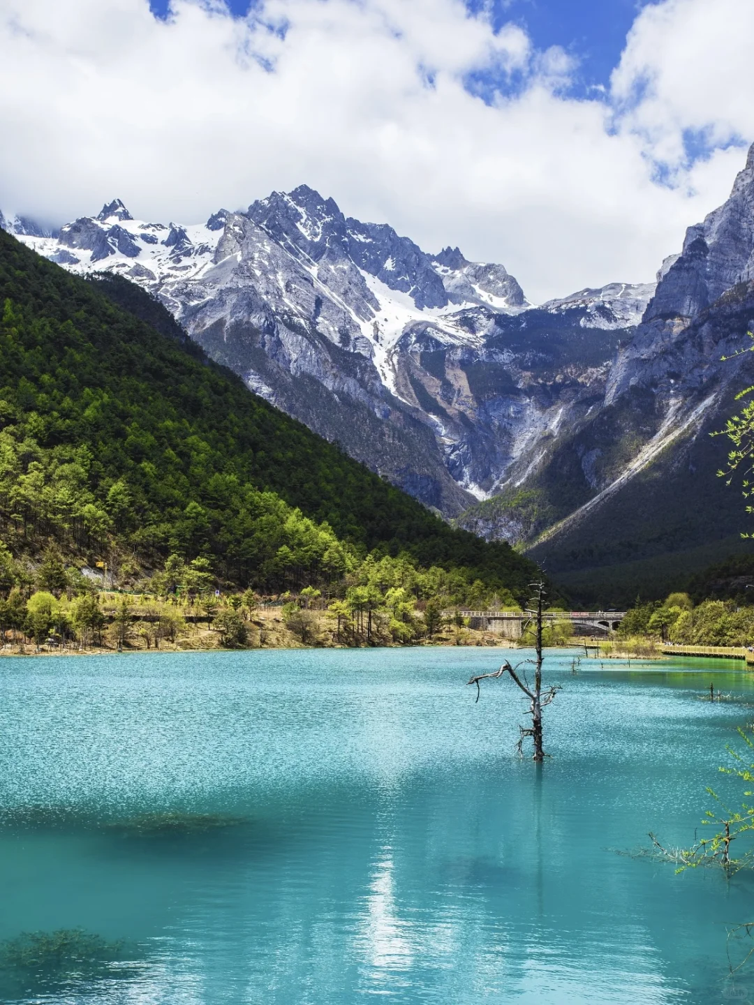 玉龙雪山一日游有票💰300➕一价全包