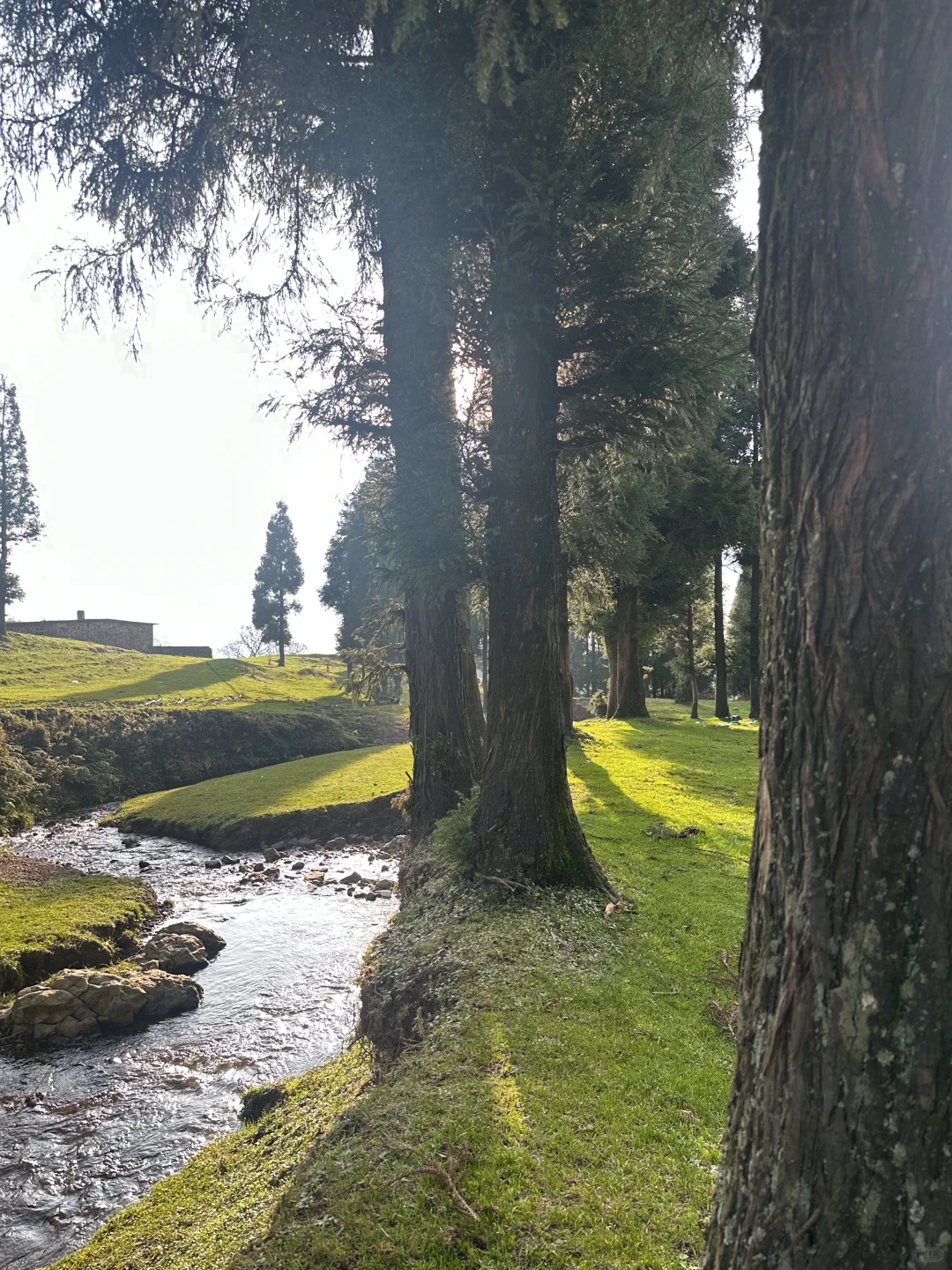 贵州你糊涂呀！贵州人的“阿勒泰”你不宣传？