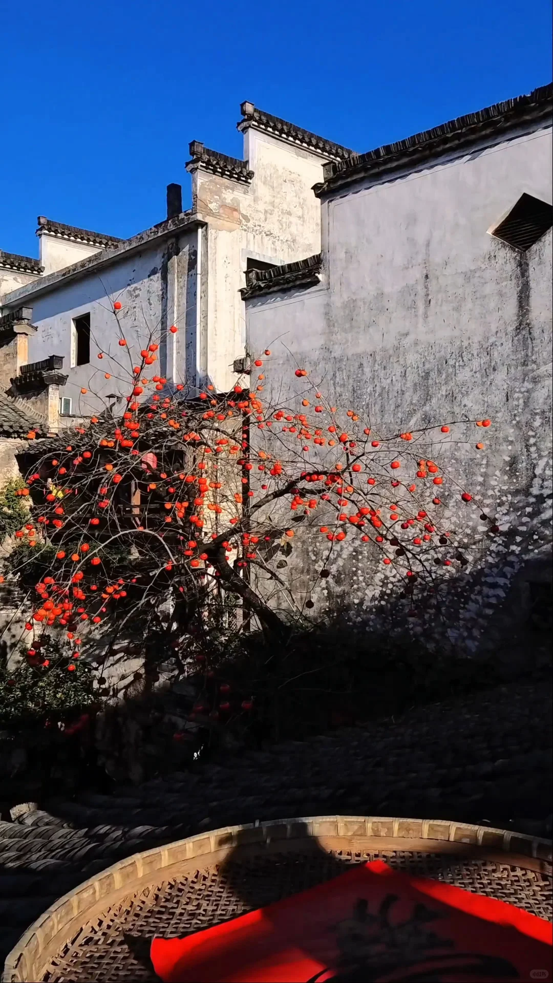 黄山之行｜感觉自己是天生的旅游圣体✨