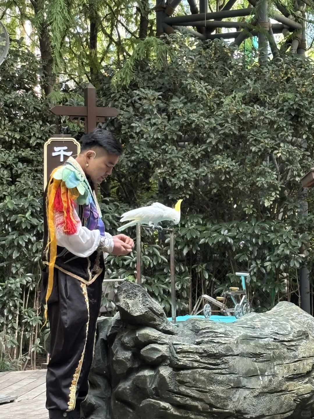 闺蜜游上海必打卡📍千古情沉浸式体验