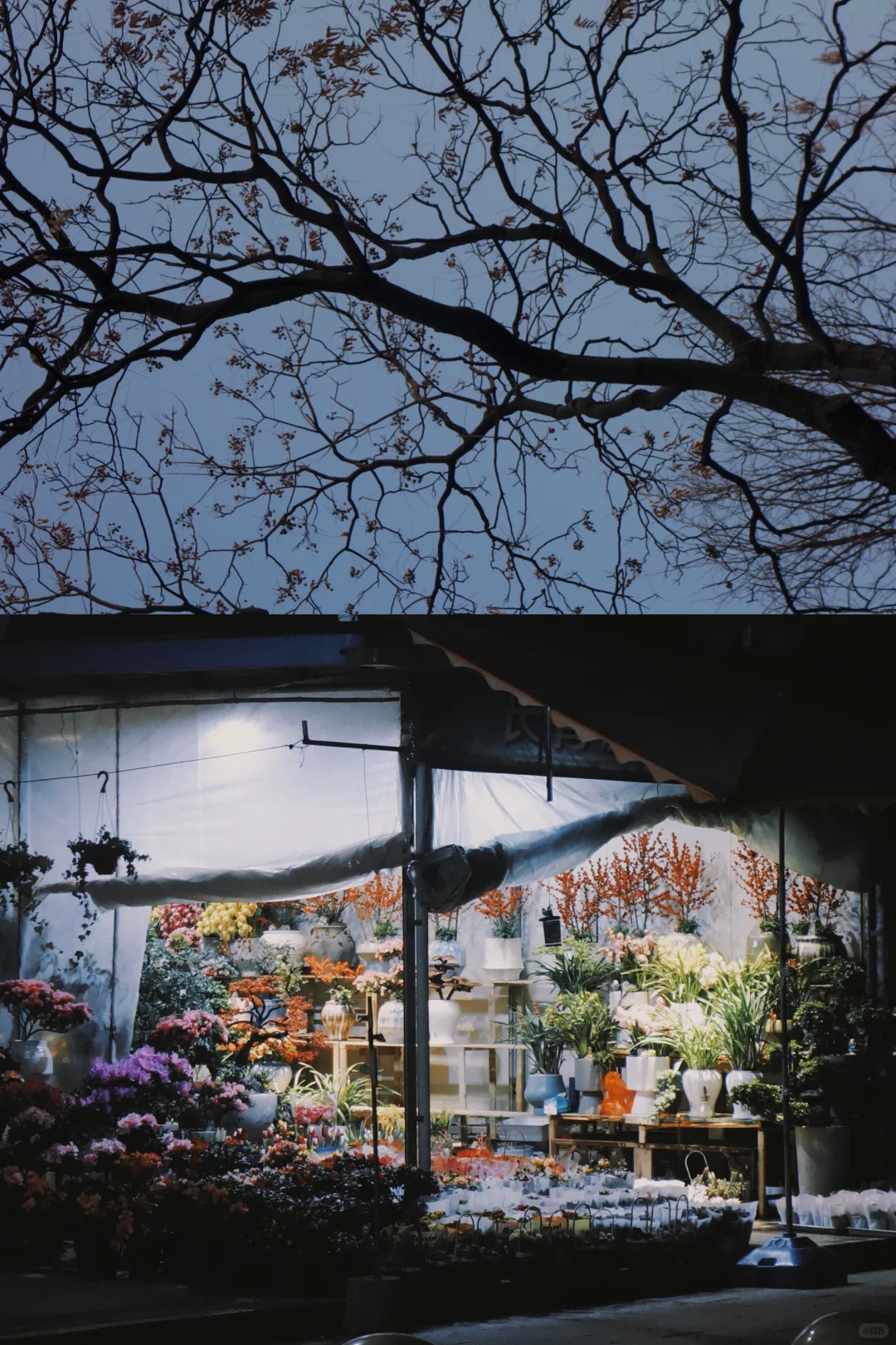 绍兴🍂一个人的冬天旅行