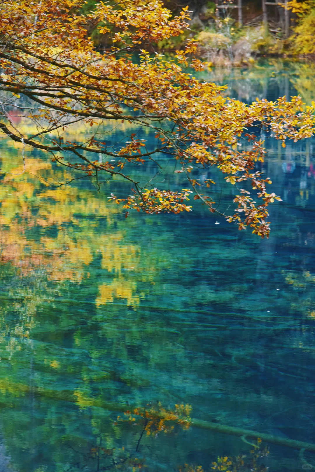 九寨沟特种兵旅游攻略