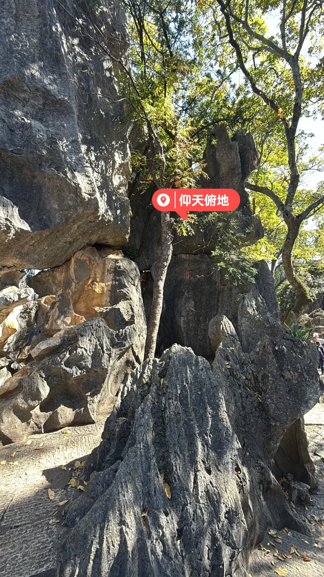 昆明|石林📍 钻进亿年石头缝里探险也太酷了