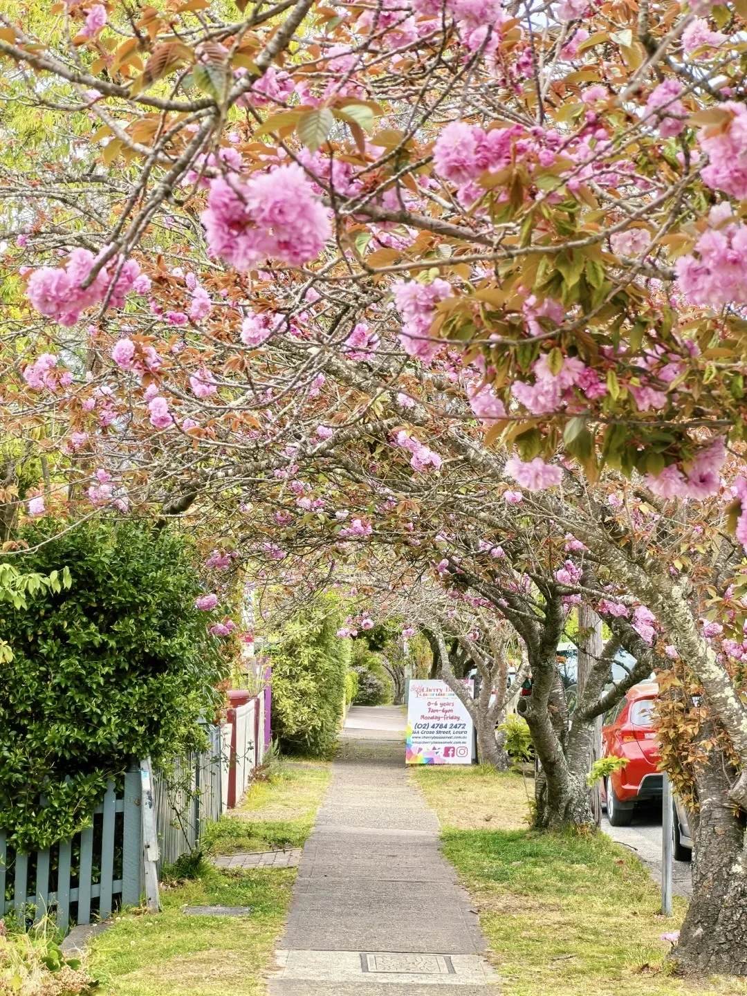 吐血整理！悉尼30个必打卡景点（下）