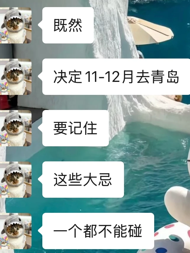 青岛会惩罚每一个不做攻略的人！！！😭😭