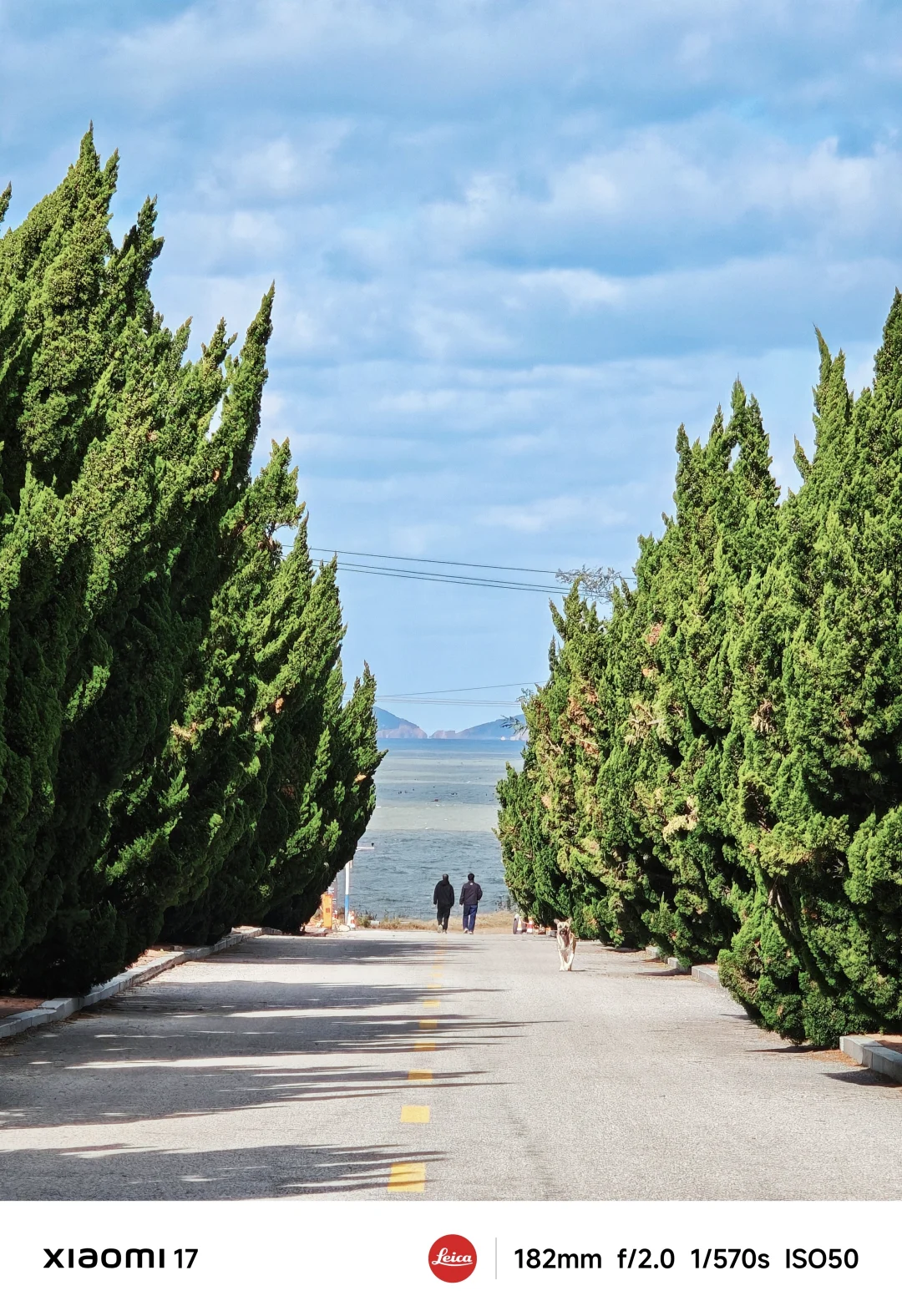 反向旅游太爽了！严重被低估的北方海滨城市