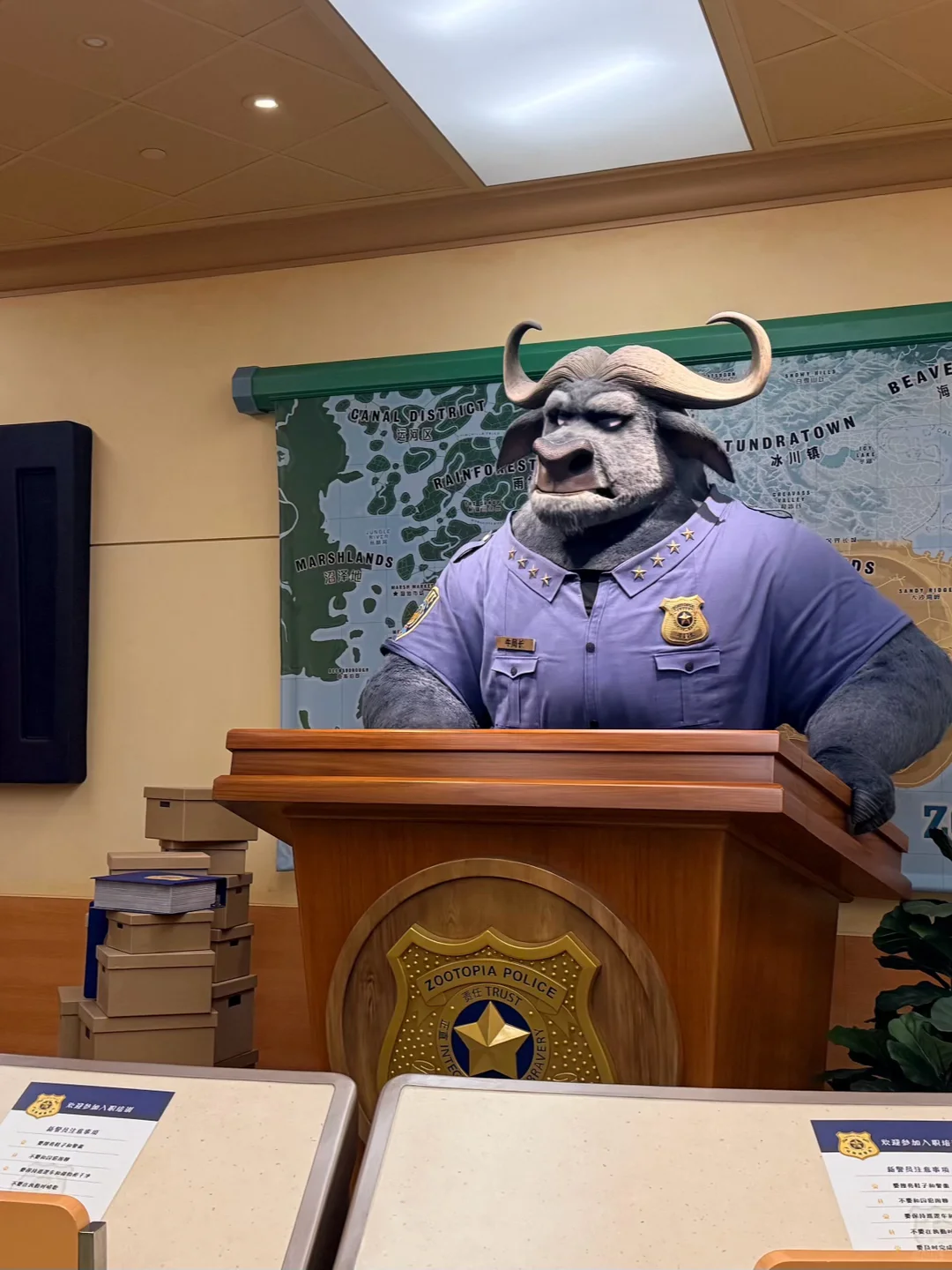 2025.11.27上迪已回,带衣服真的要慎重啊!