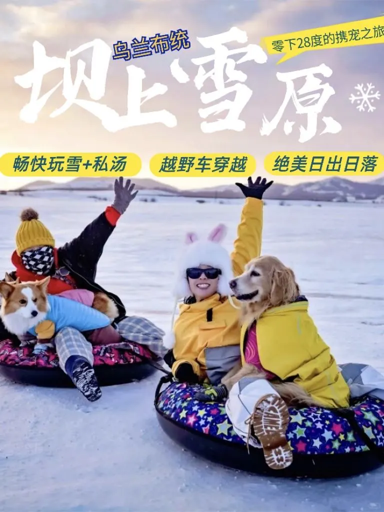 带狗去草原玩雪！越野车+泡温泉