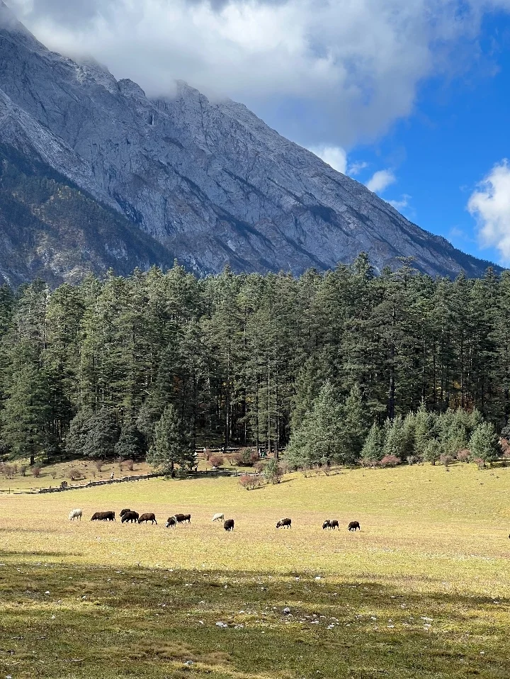 别找了！玉龙雪山纯玩小团在这｜人均200+