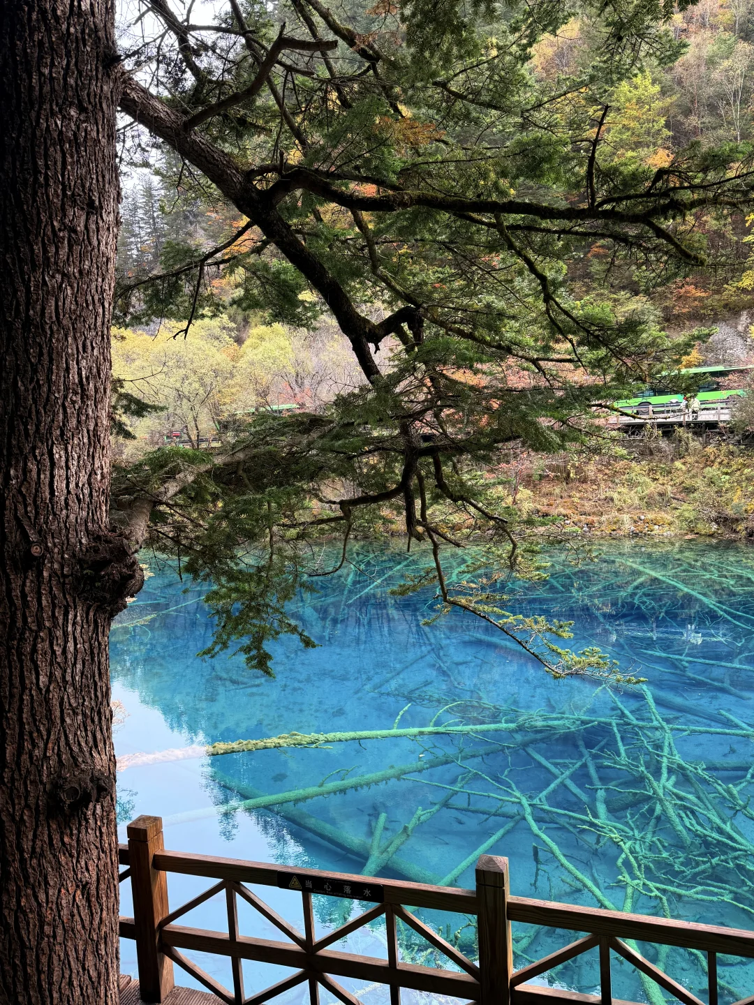 九寨沟特种兵旅游攻略