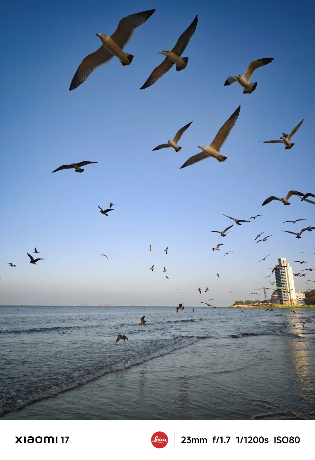 反向旅游太爽了！严重被低估的北方海滨城市