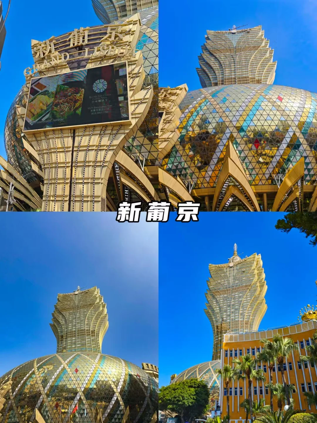 码住❗️澳门深度一日游超详细攻略