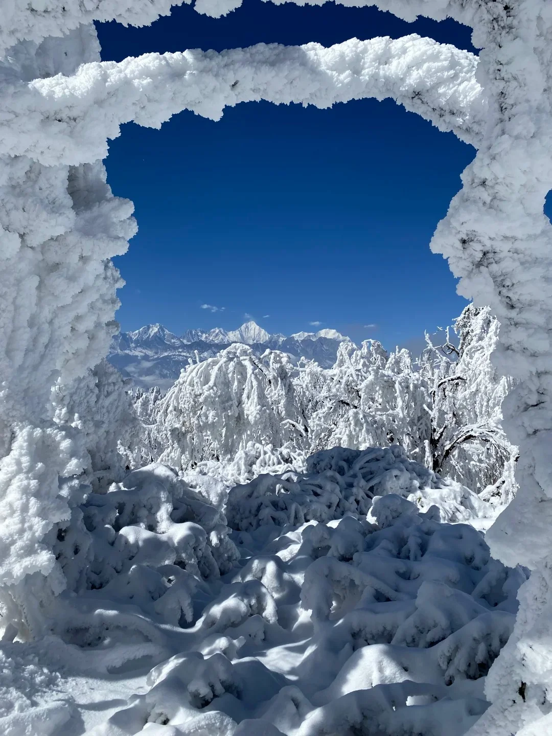 王岗坪📍99%人不知道的川西玩雪秘境
