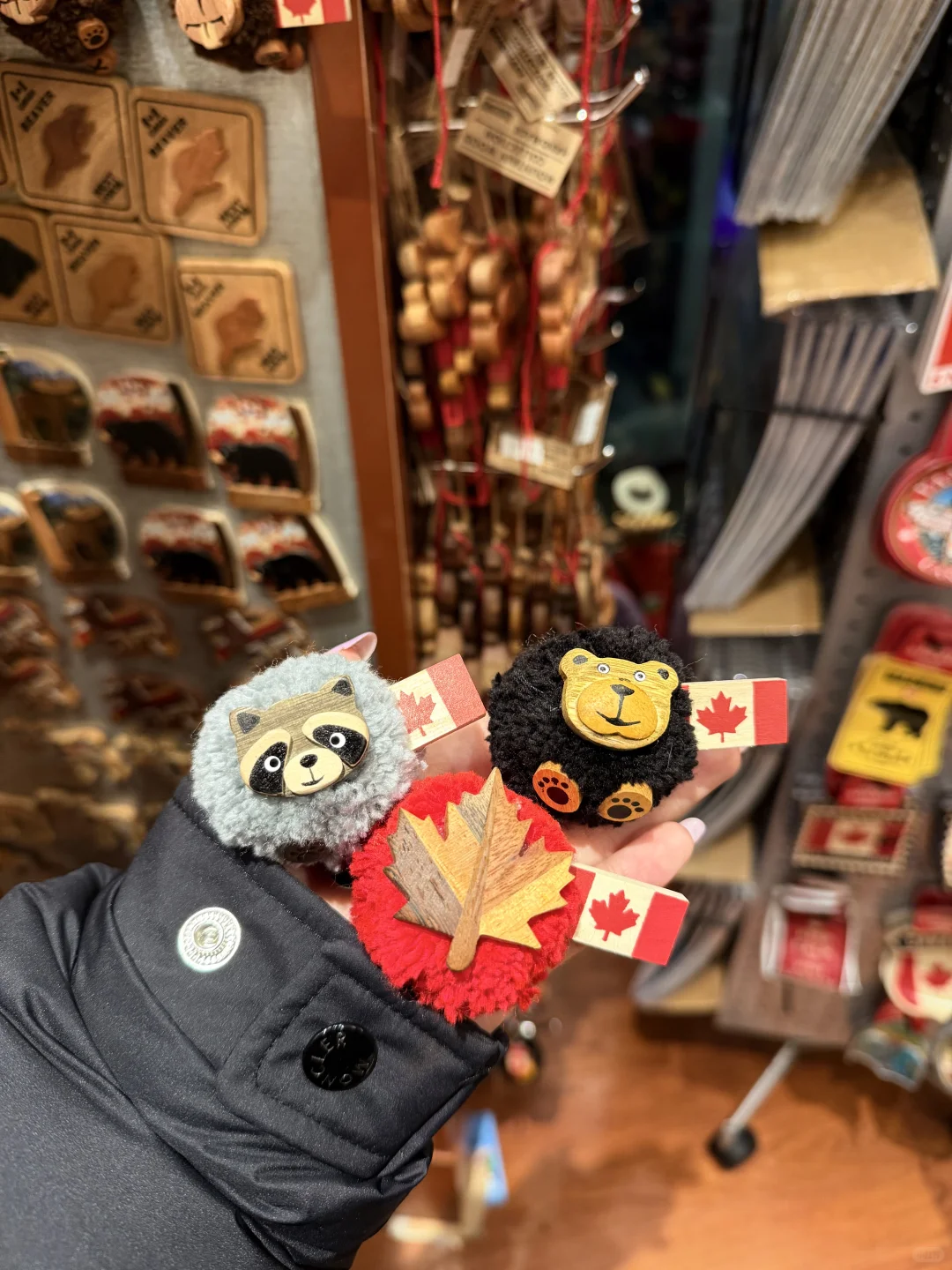 🇨🇦Vancouver plog