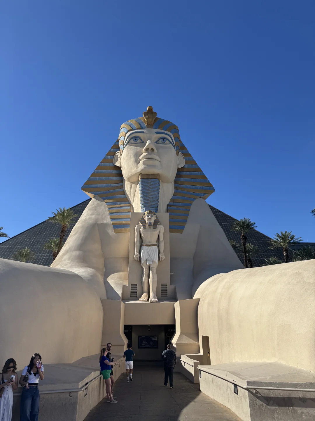 🇺🇸Las vegas｜留子一天暴走两万步记录 上