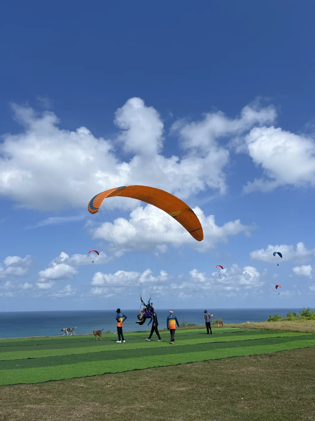 印尼2680的团也太值了