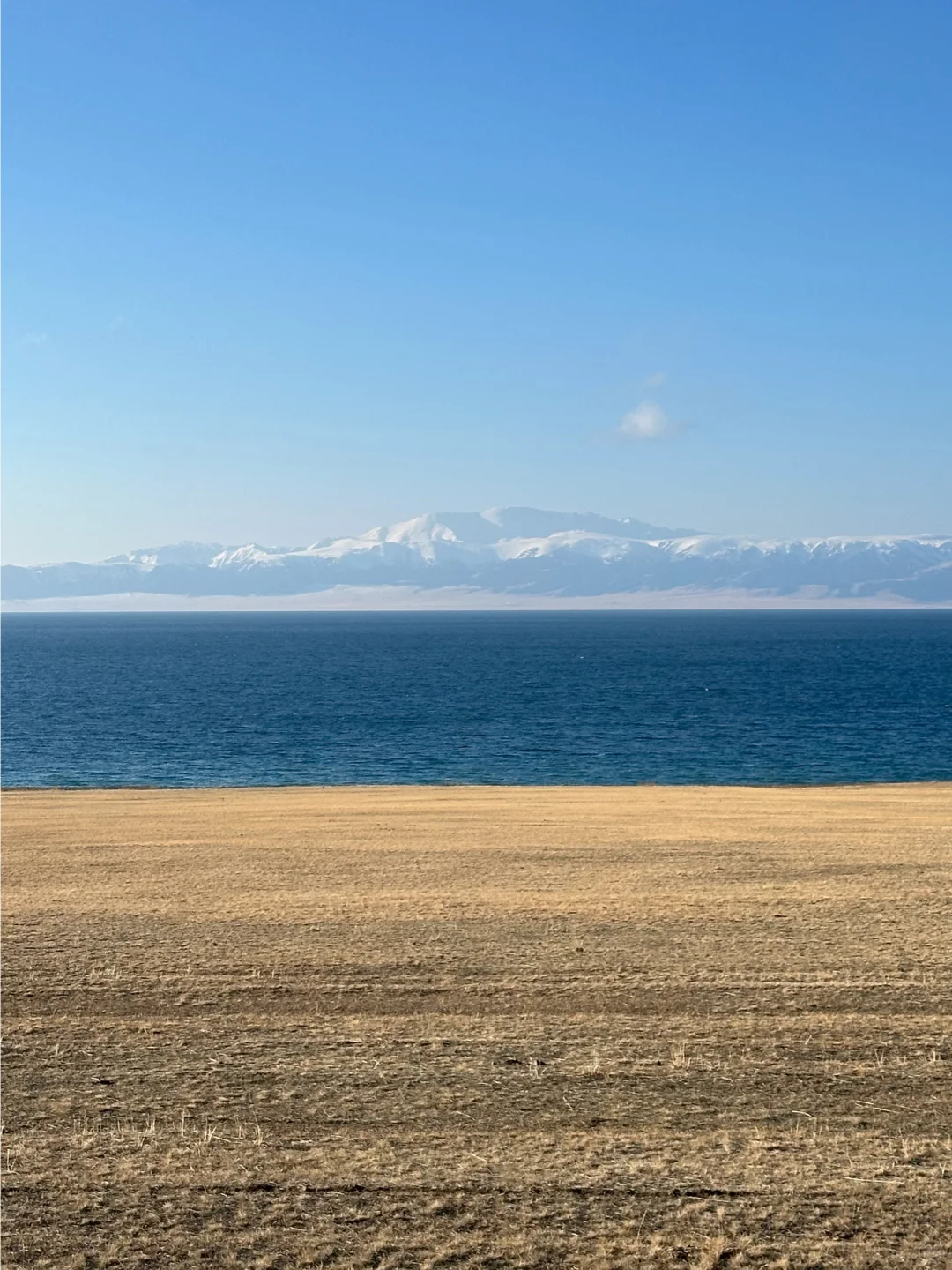 天津大学生周末不请假两天极限往返赛里木湖