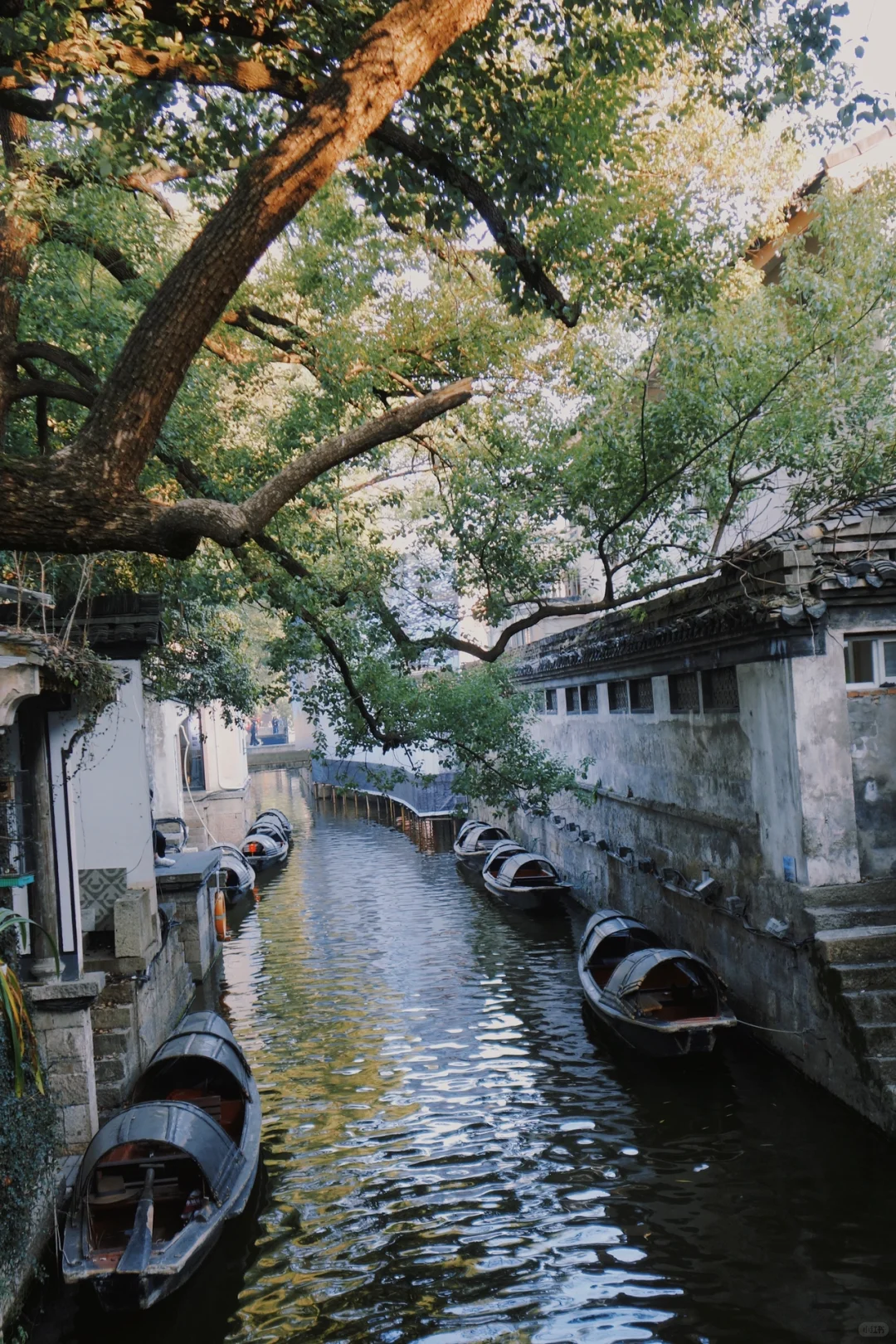 绍兴🍂一个人的冬天旅行