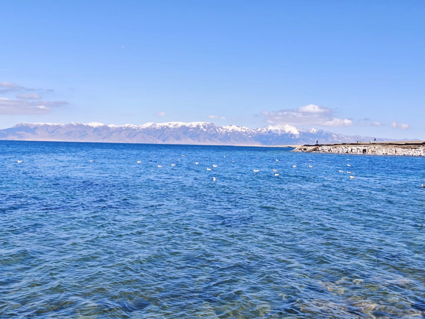 赛里木湖 | 掉进人间的蓝宝石💎美到窒息