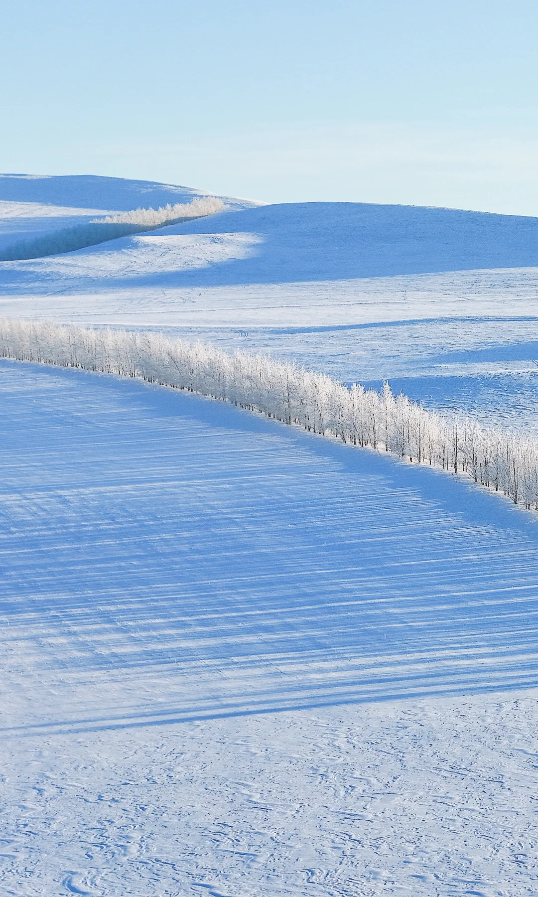 去啥国外！冬天内蒙才真封神❄️童话照进现实