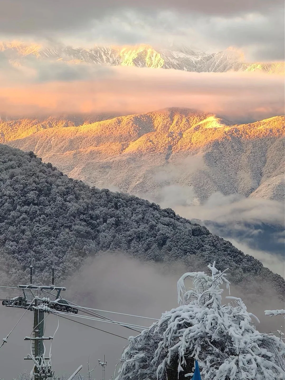 王岗坪📍99%人不知道的川西玩雪秘境
