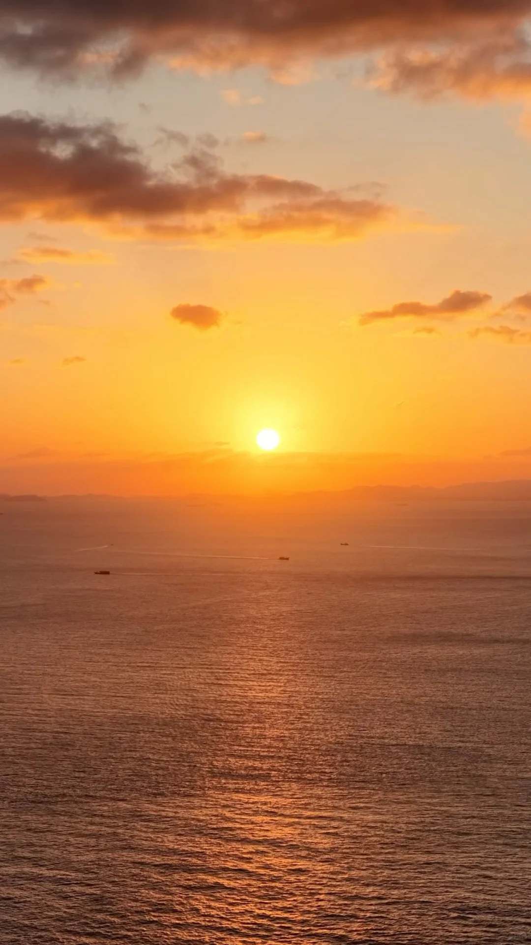 反向旅行天才！浙江淡季最适合去的海岛🌊