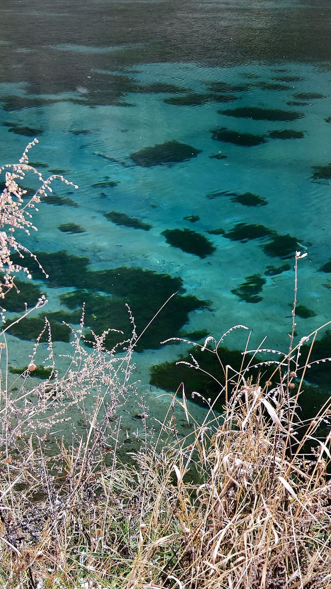 成都周边玩雪日记❄️|又免门票啦