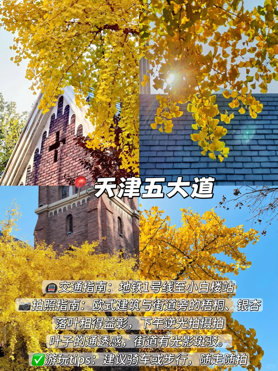 3年总结!天津秋天一定要去的9️⃣个地方!