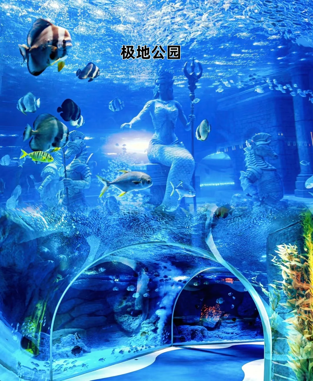 哈尔滨必打卡景点~收藏好再去玩更省时❗❗