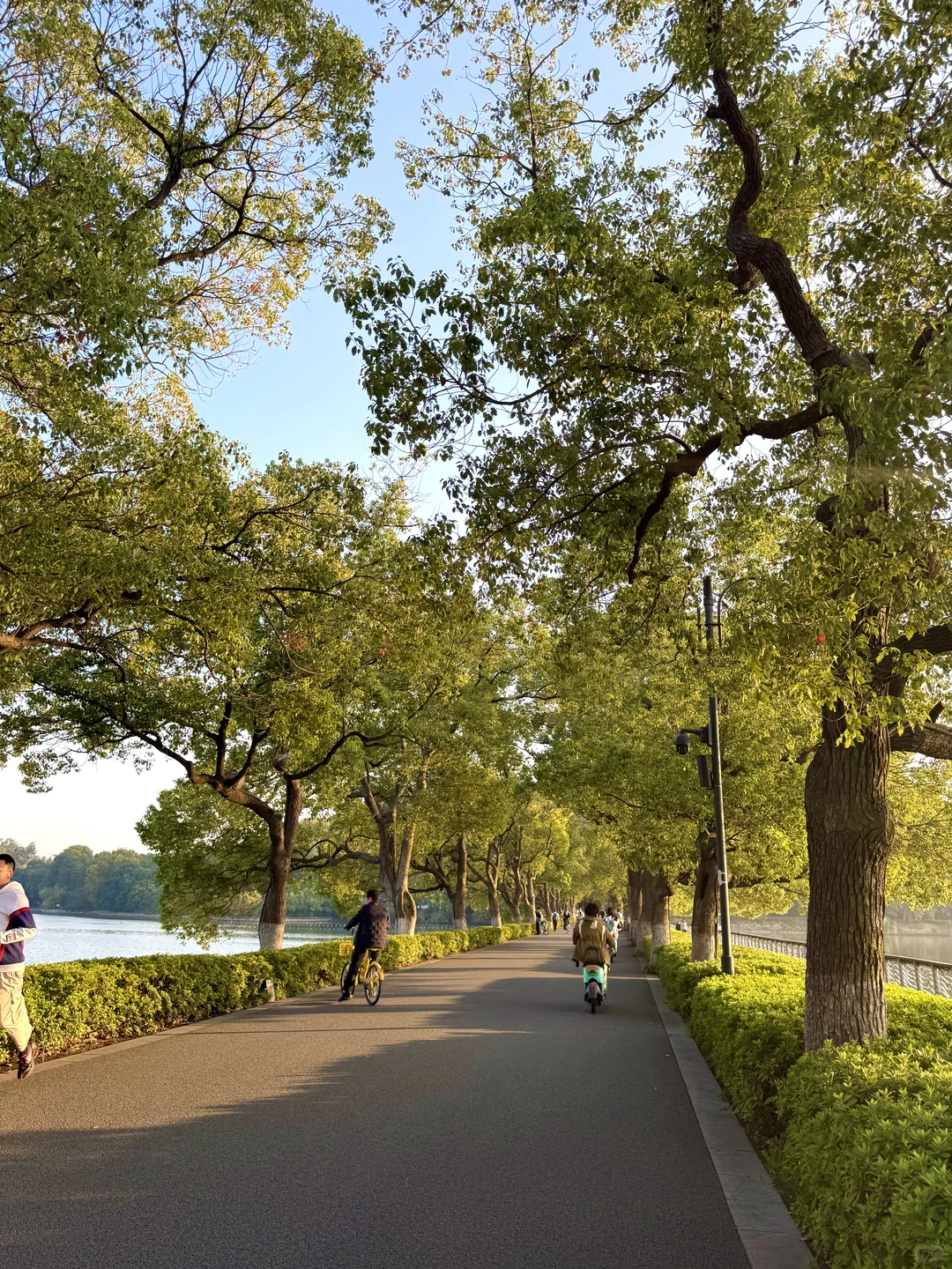 第一次来东湖玩什么？分享一下我的经验🧐