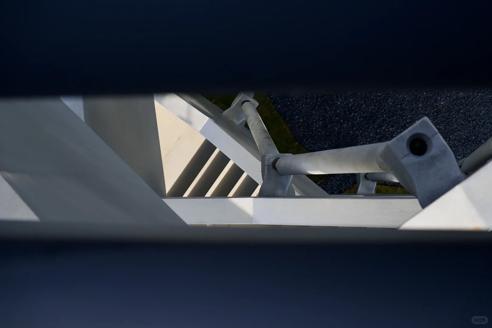 在武汉蔡甸找到了鹿客岛的平替,乌桕树已红