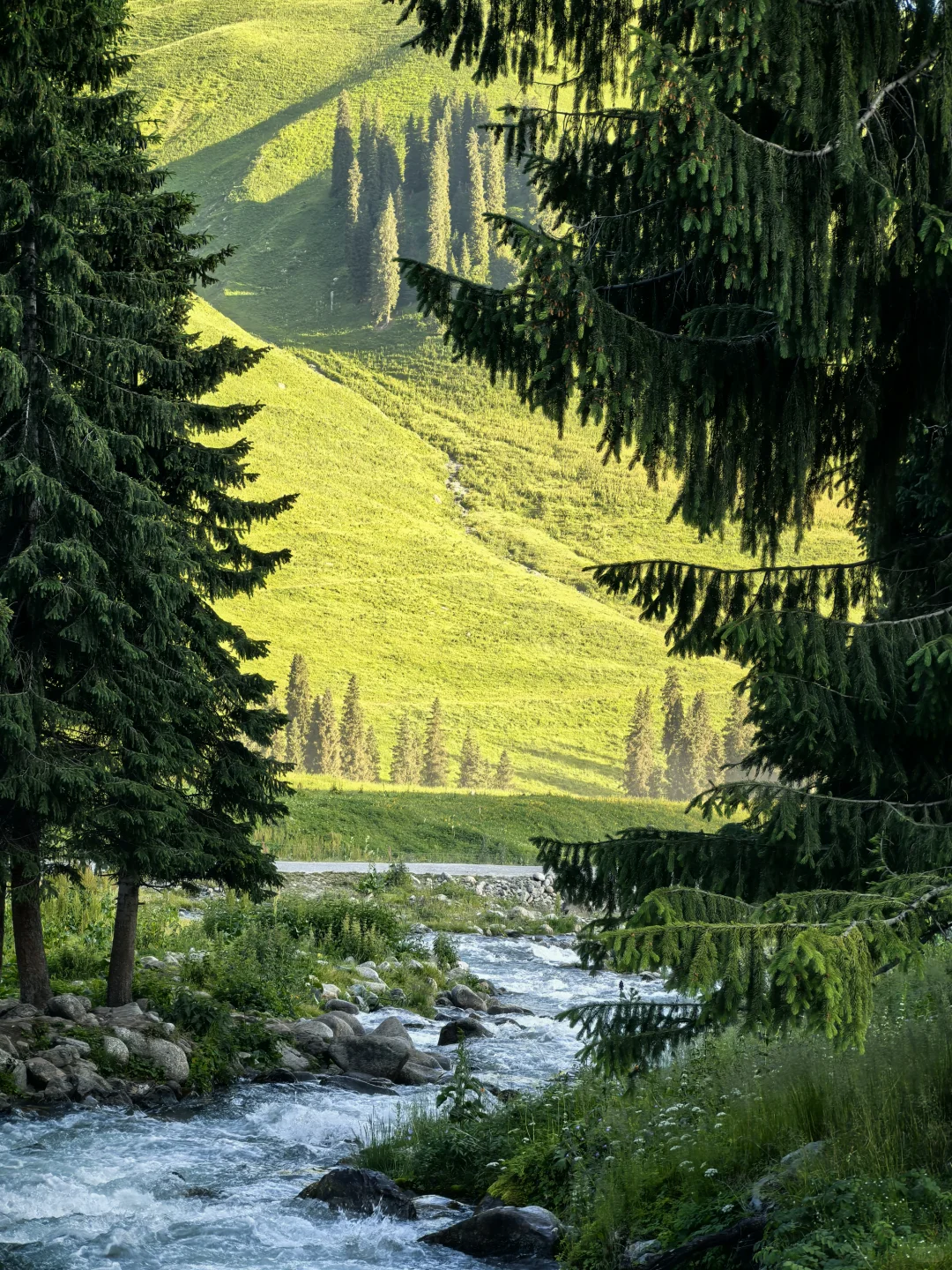 百里画廊-孟克特古道：遗落天山的荒野诗行
